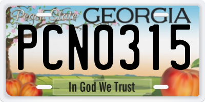 GA license plate PCN0315