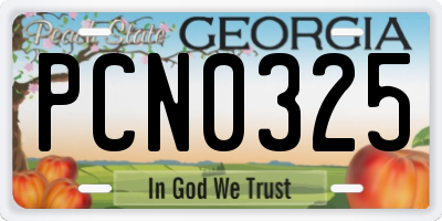 GA license plate PCN0325