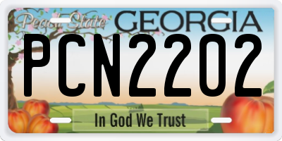 GA license plate PCN2202