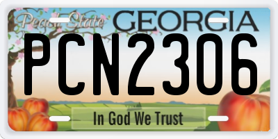 GA license plate PCN2306