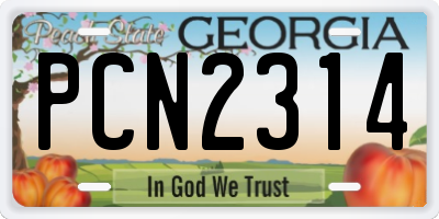 GA license plate PCN2314