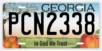 GA license plate PCN2338