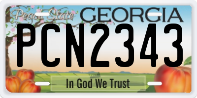 GA license plate PCN2343