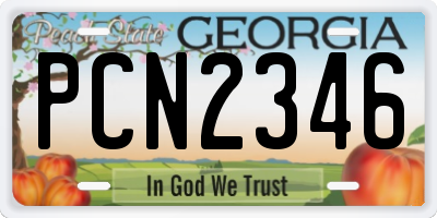 GA license plate PCN2346