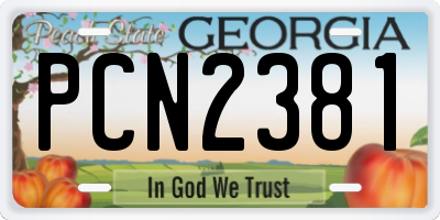 GA license plate PCN2381