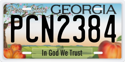 GA license plate PCN2384