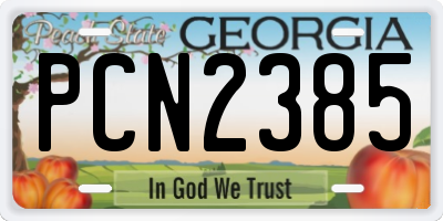 GA license plate PCN2385