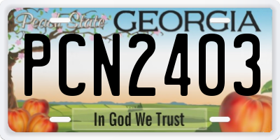 GA license plate PCN2403