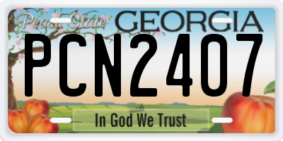 GA license plate PCN2407
