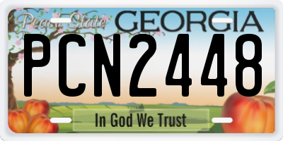 GA license plate PCN2448
