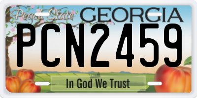 GA license plate PCN2459