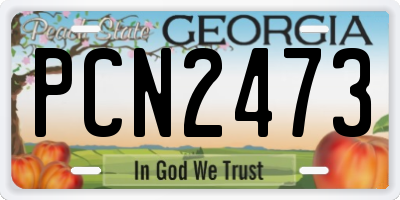 GA license plate PCN2473