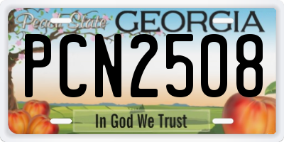 GA license plate PCN2508