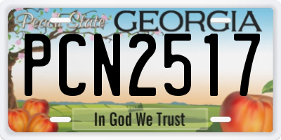 GA license plate PCN2517