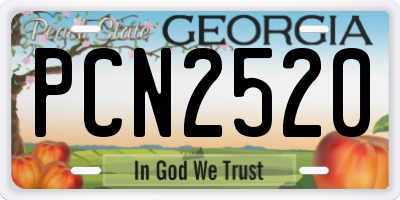 GA license plate PCN2520