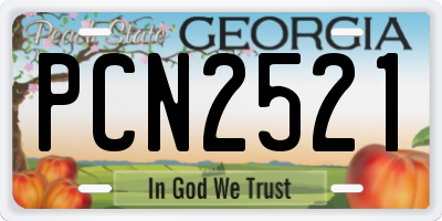 GA license plate PCN2521