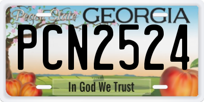 GA license plate PCN2524