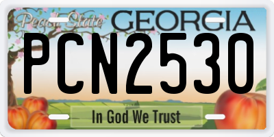 GA license plate PCN2530