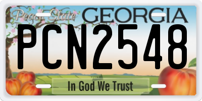 GA license plate PCN2548