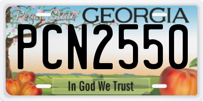GA license plate PCN2550