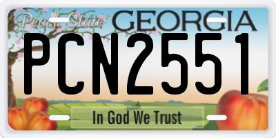 GA license plate PCN2551