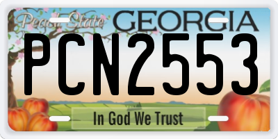GA license plate PCN2553