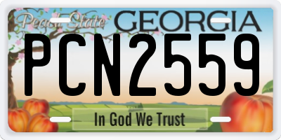 GA license plate PCN2559