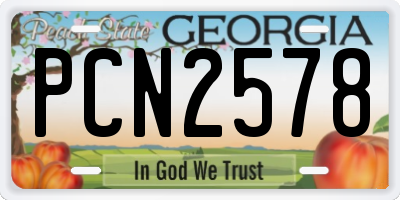 GA license plate PCN2578