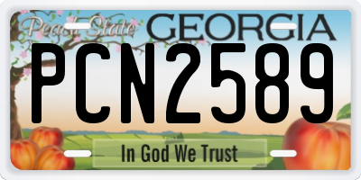 GA license plate PCN2589