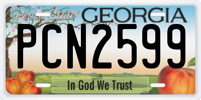 GA license plate PCN2599