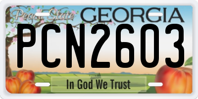 GA license plate PCN2603