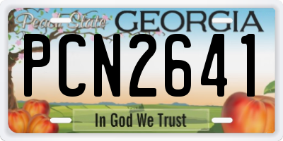 GA license plate PCN2641