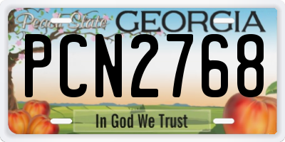 GA license plate PCN2768