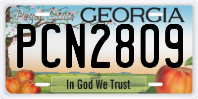 GA license plate PCN2809