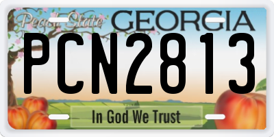 GA license plate PCN2813