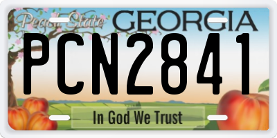 GA license plate PCN2841