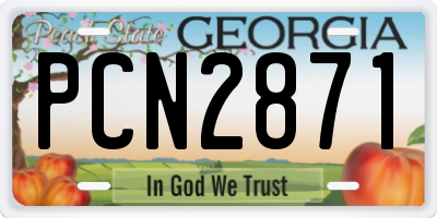 GA license plate PCN2871