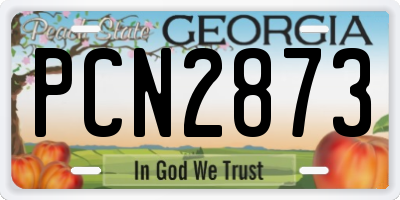 GA license plate PCN2873