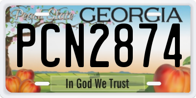 GA license plate PCN2874