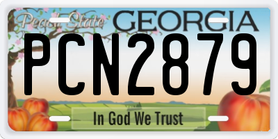 GA license plate PCN2879