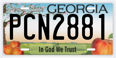 GA license plate PCN2881