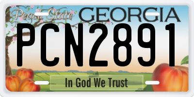 GA license plate PCN2891
