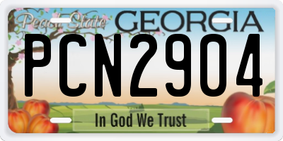 GA license plate PCN2904