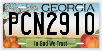 GA license plate PCN2910