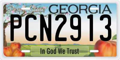 GA license plate PCN2913