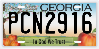 GA license plate PCN2916