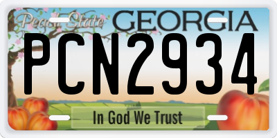 GA license plate PCN2934