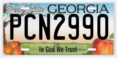 GA license plate PCN2990