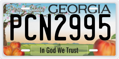 GA license plate PCN2995