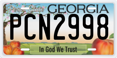 GA license plate PCN2998